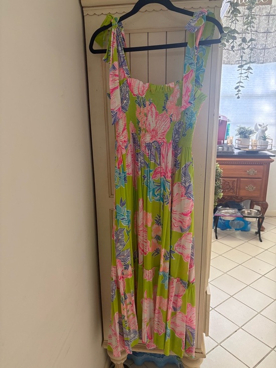 Lilly Pulitzer Dresses & Skirts - Lilly Pulitzer Lime Green Floral Maxi Dress with Pink and Blue Accents
